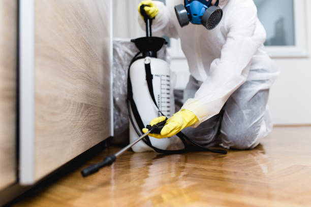 Best Flea Control Services  in Wildwood Crest, NJ