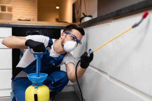 Best Ant Control Services  in Wildwood Crest, NJ