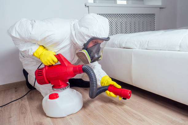 Professional Pest Control in Wildwood Crest, NJ