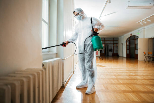 Best Termite Control Services  in Wildwood Crest, NJ